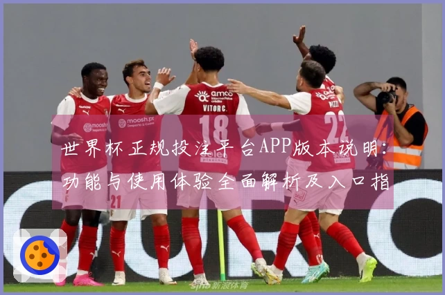 世界杯正规投注平台APP版本说明：功能与使用体验全面解析及入口指导