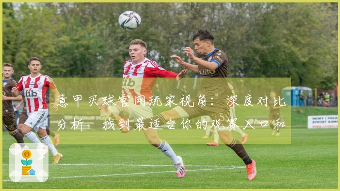 意甲买球官网玩家视角：深度对比分析，找到最适合你的观赛入口和体验