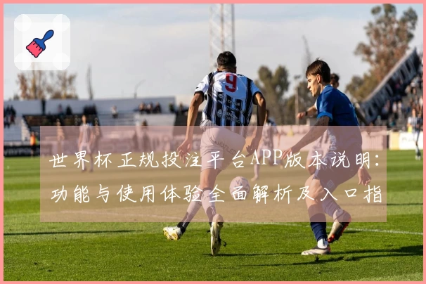 世界杯正规投注平台APP版本说明：功能与使用体验全面解析及入口指导