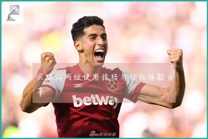 买球站网址使用技巧与优化体验分享